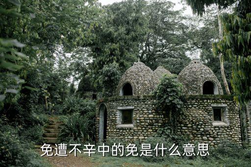 免遭不辛中的免是什么意思