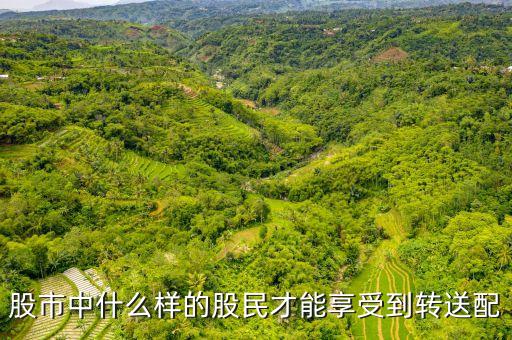 股市中什么样的股民才能享受到转送配