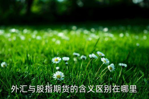 外汇与股指期货的含义区别在哪里