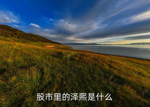 股市里的泽熙是什么