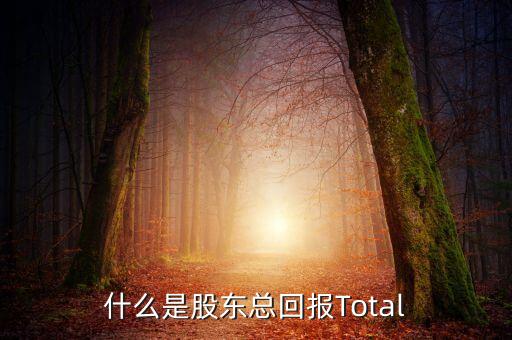 什么是股东总回报Total