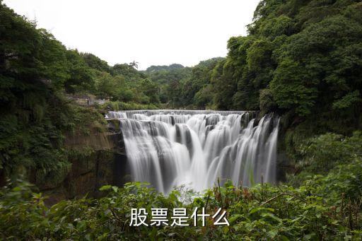 股票是什么