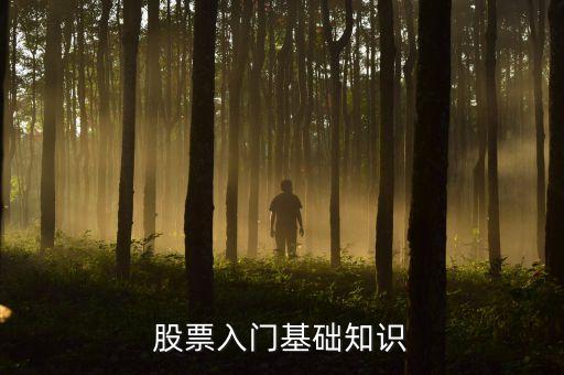 股票的初级内容是什么，股票入门基础知识有那些啊