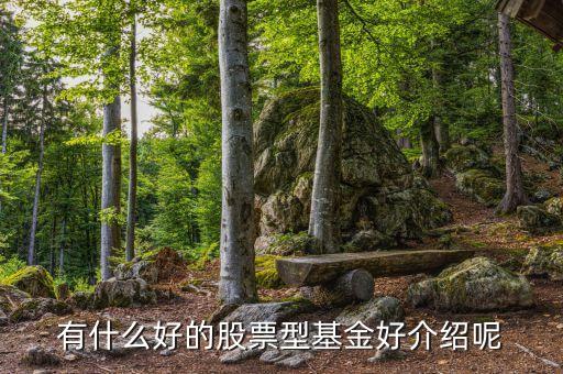 什么基金股票比较好买，有好的股票基金推荐吗