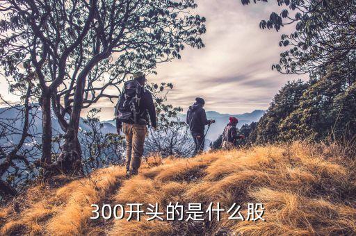 300股票开头是什么，300开头的是什么股