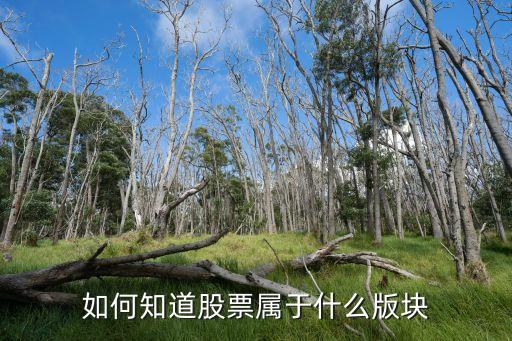 如何知道股票属于什么版块