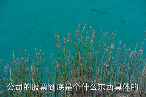 公司的股票到底是个什么东西具体的