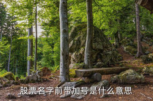 股票名字前带加号是什么意思