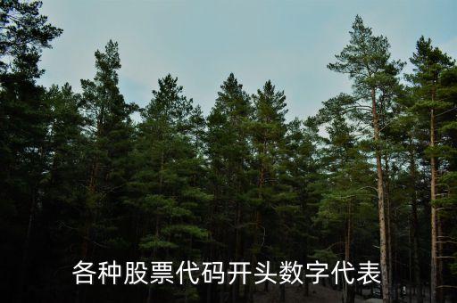 各种股票代码开头数字代表