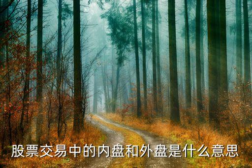 股票内盘外盘代表什么，股票内盘外盘是啥意思