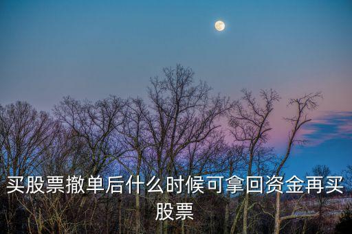 买股票撤单后什么时候可拿回资金再买股票