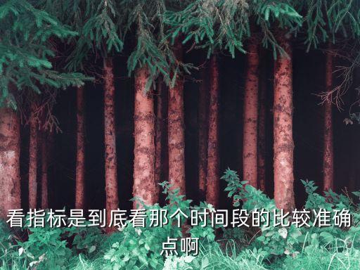 看指标是到底看那个时间段的比较准确点啊