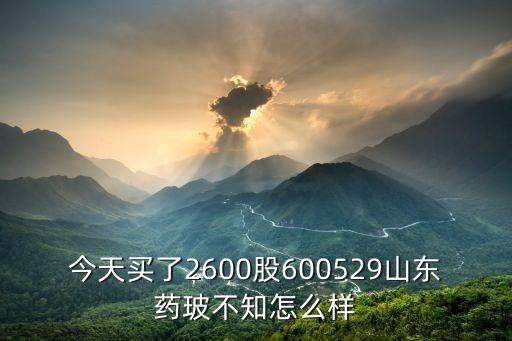 今天买了2600股600529山东药玻不知怎么样