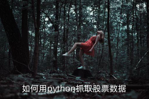 如何用python抓取股票数据