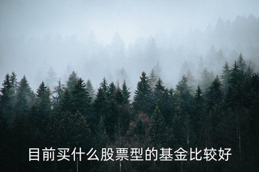 目前买什么股票型的基金比较好