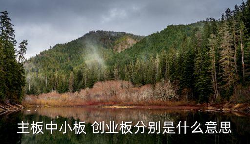什么是创业板股票手机版，主板中小板 创业板分别是什么意思