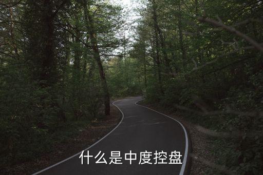什么是中度控盘