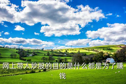 网上带人炒股的目的是什么都是为了赚钱
