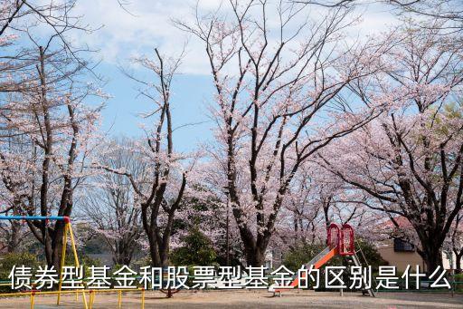 什么叫债券基金和股票基金，什么是债基和股基哪种的风险更高