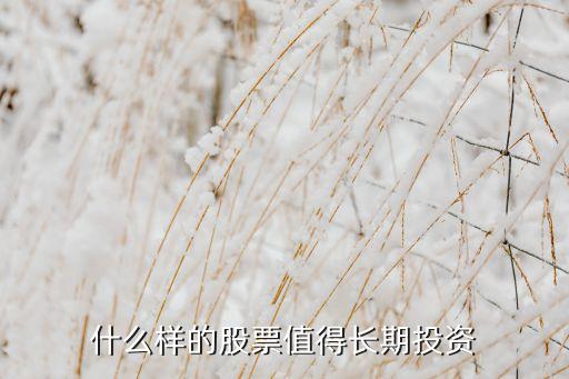 什么样的股票值得长期投资