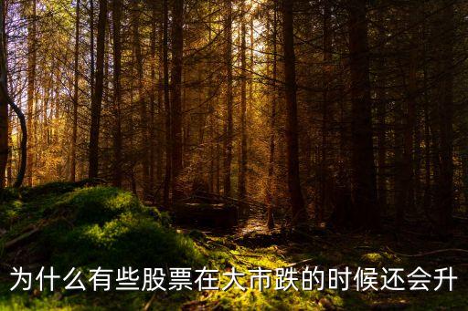 为什么有些股票在大市跌的时候还会升