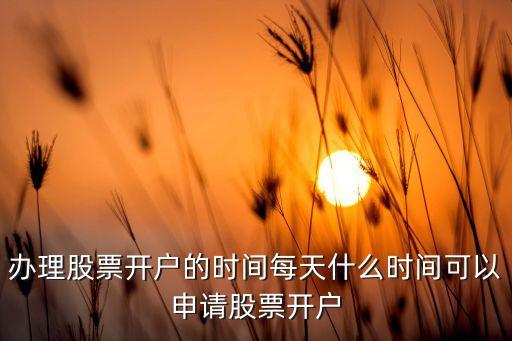 办理股票开户的时间每天什么时间可以申请股票开户