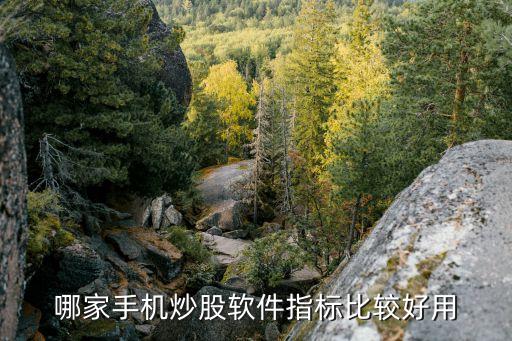 什么软件能做股票指标分析，哪家手机炒股软件指标比较好用