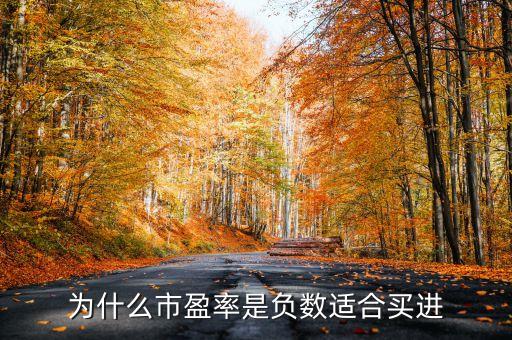 为什么市盈率是负数适合买进