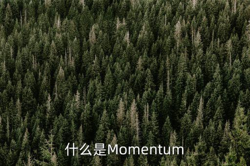 什么是Momentum