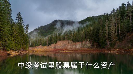 股票投资属于什么性资产，股票投资是可供出售金融资产还是交易性金融资产