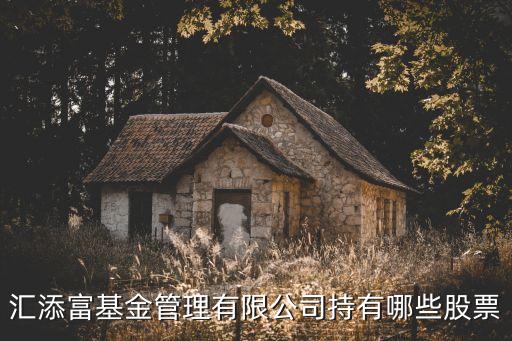 汇添富基金管理有限公司持有哪些股票