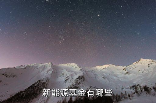 新能源基金都包含什么股票，问新能源板块里的股票哪些股票是属于核能太阳能风能等清洁