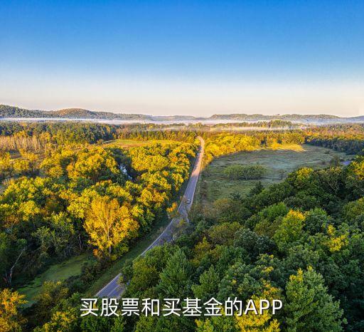买股票和买基金的APP