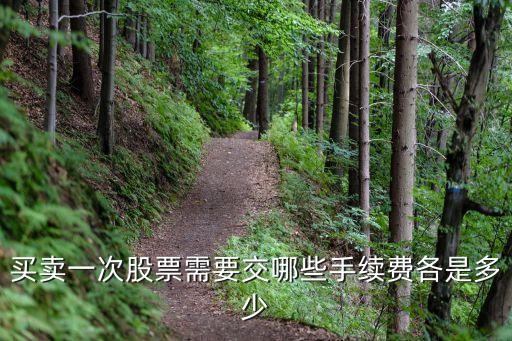 买卖一次股票需要交哪些手续费各是多少