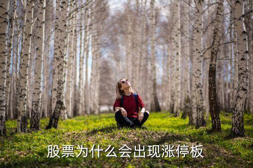 股票为什么会出现涨停板