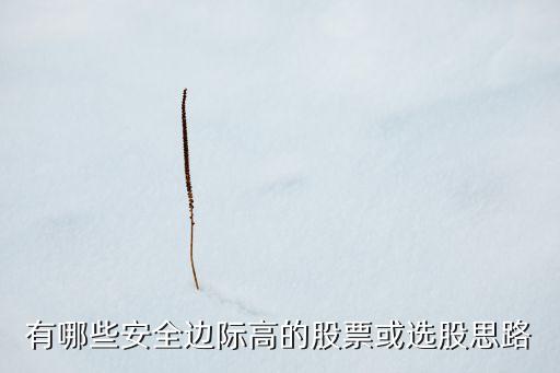 有哪些安全边际高的股票或选股思路