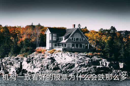 机构一致看好的股票为什么会跌那么多