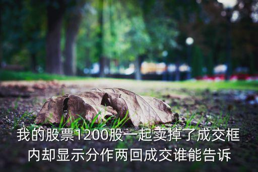 我的股票1200股一起卖掉了成交框内却显示分作两回成交谁能告诉