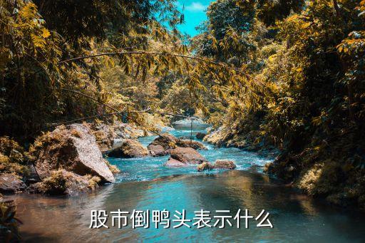 股市倒鸭头表示什么