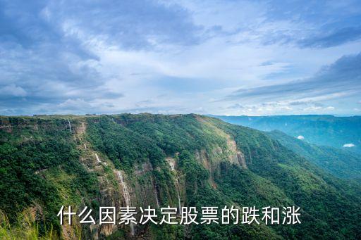 什么因素决定股票的跌和涨