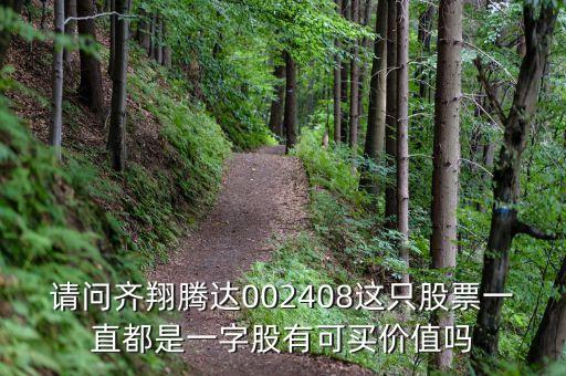 002460股票做什么，请问齐翔腾达002408这只股票一直都是一字股有可买价值吗