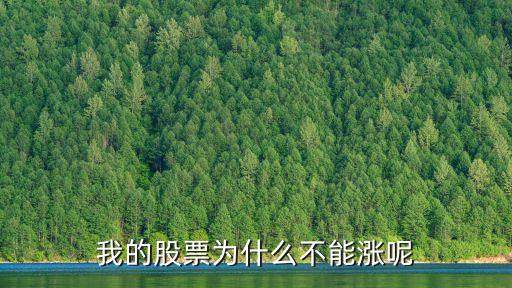证劵股票为什么涨不起来，为什么证券银行上涨不好