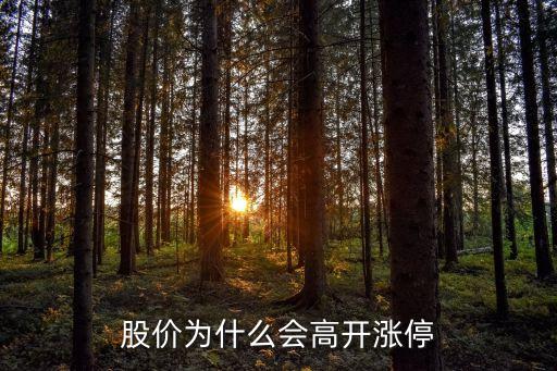 股价为什么会高开涨停