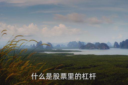 什么是股票里的杠杆