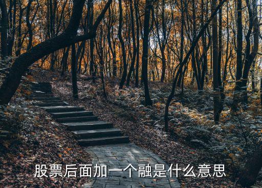 股票后面加一个融是什么意思