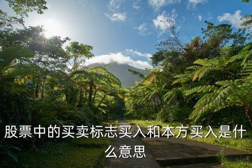 股票买卖公示是什么意思，大股东 不论买卖多少股票都要公示吗