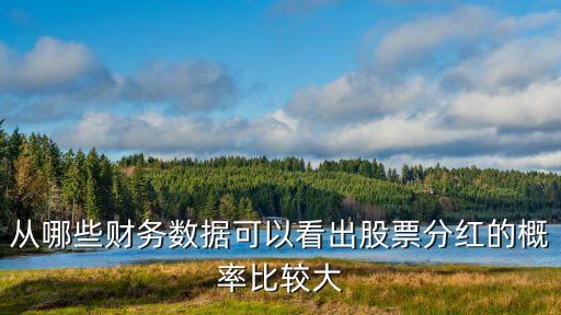 一支股票分红能力看什么，从哪些财务数据可以看出股票分红的概率比较大