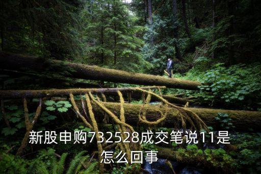 新股申购732528成交笔说11是怎么回事