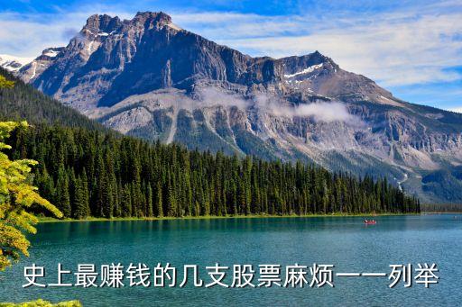 史上最赚钱的几支股票麻烦一一列举