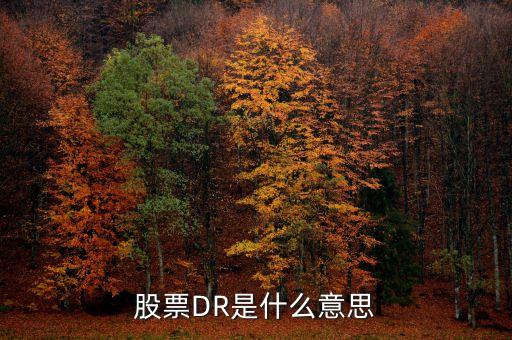 股票开头的DR是什么意思，股票前的Dr是什么